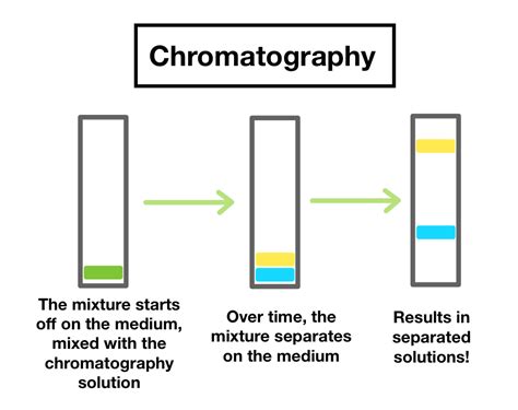 chromatographic separation.